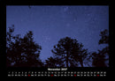 Bäume Fotokalender 2027 - 11