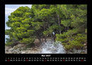 Bäume Fotokalender 2027 - 5