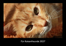 Für Katzenfreunde Fotokalender 2027 - Hauptbild
