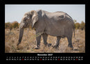 Elefanten - Die sanften Riesen Afrikas Fotokalender 2027 - 11