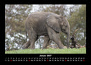 Elefanten - Die sanften Riesen Afrikas Fotokalender 2027 - 1