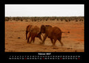 Elefanten - Die sanften Riesen Afrikas Fotokalender 2027 - 2