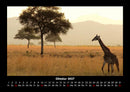 Giraffen Fotokalender 2027 - 10