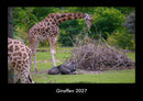 Giraffen Fotokalender 2027 - Hauptbild