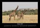 Giraffen Fotokalender 2027 - 2