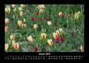 Blumenkalender Fotokalender 2027 - 1