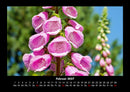 Blumenkalender Fotokalender 2027 - 2