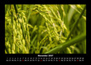 Bilder aus der Natur Fotokalender 2027 - 11