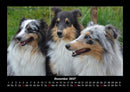Hunde Fotokalender 2027 - 12