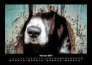 Hunde Fotokalender 2027 - 2
