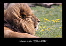 Löwen in der Wildnis Fotokalender 2027 - Hauptbild