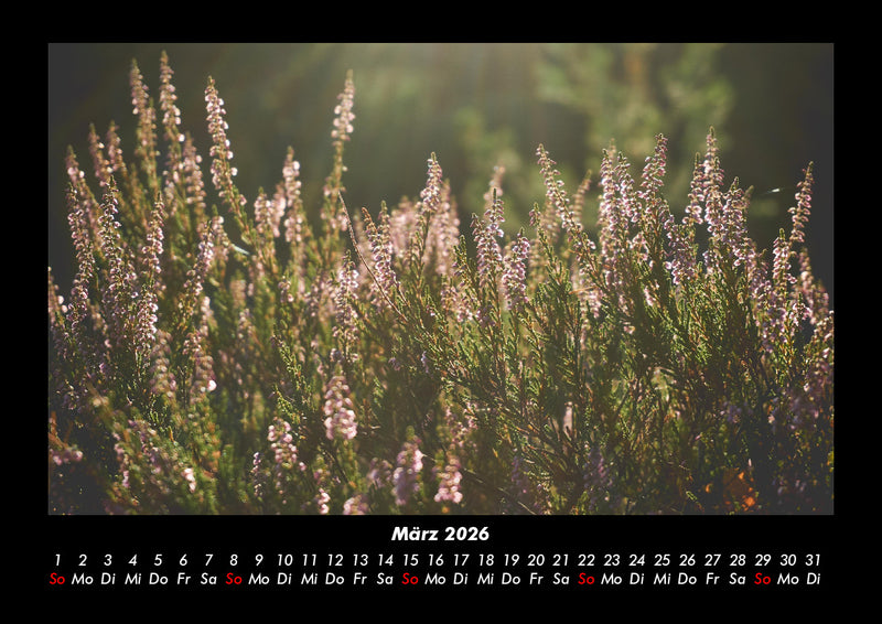 Pflanzen und Blüten Fotokalender 2026 - 3