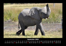 Der Elefantenkalender Fotokalender 2026 - 9