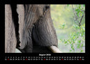 Der Elefantenkalender Fotokalender 2026 - 8