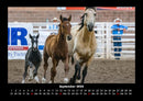 Die Welt der Pferde Fotokalender 2026 - 9