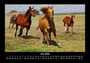 Die Welt der Pferde Fotokalender 2026 - 6