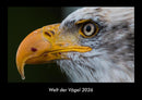 Welt der Vögel Fotokalender 2026 - Hauptbild