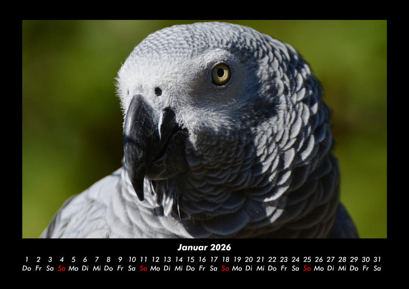 Welt der Vögel Fotokalender 2026 - 1