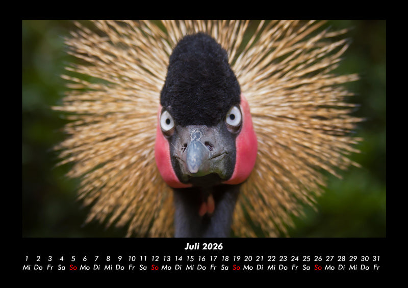 Welt der Vögel Fotokalender 2026 - 7