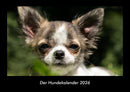 Der Hundekalender Fotokalender 2026 - Hauptbild