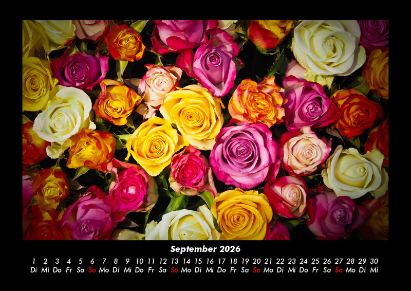 Rosen-Kalender Fotokalender 2026 - 9