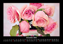 Rosen-Kalender Fotokalender 2026 - 12