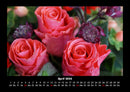 Rosen-Kalender Fotokalender 2026 - 4