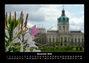 Blumenkalender Fotokalender 2026 - 11