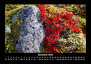 Blumenkalender Fotokalender 2026 - 12