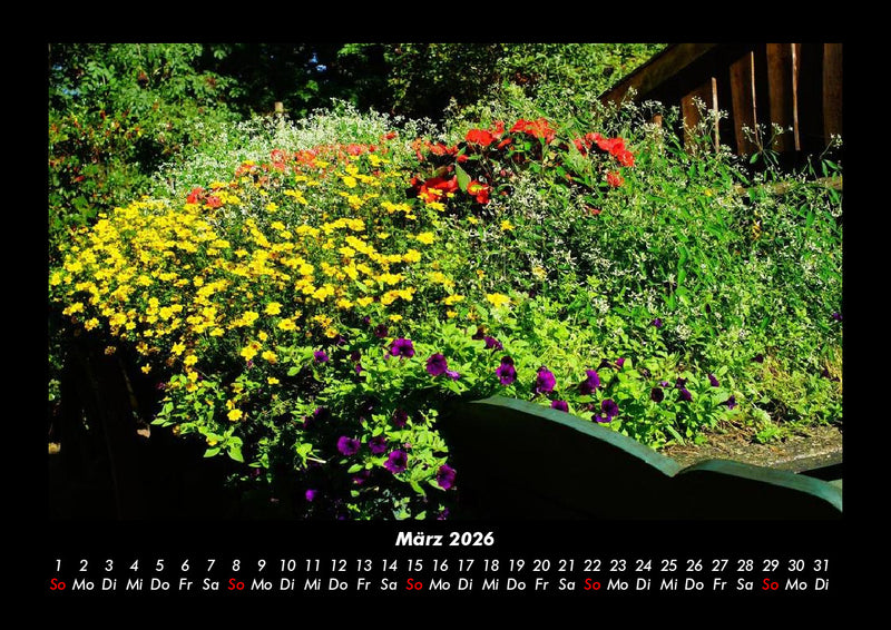 Blumenkalender Fotokalender 2026 - 3