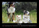 Hundezauber Fotokalender 2026 - 5