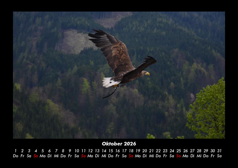 Adler Fotokalender 2026 - 10