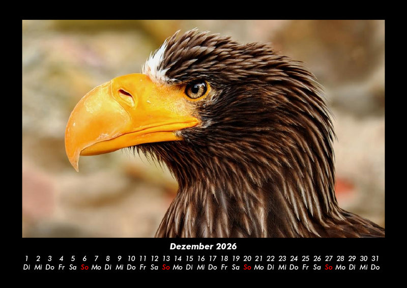 Adler Fotokalender 2026 - 12