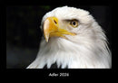 Adler Fotokalender 2026 - Hauptbild