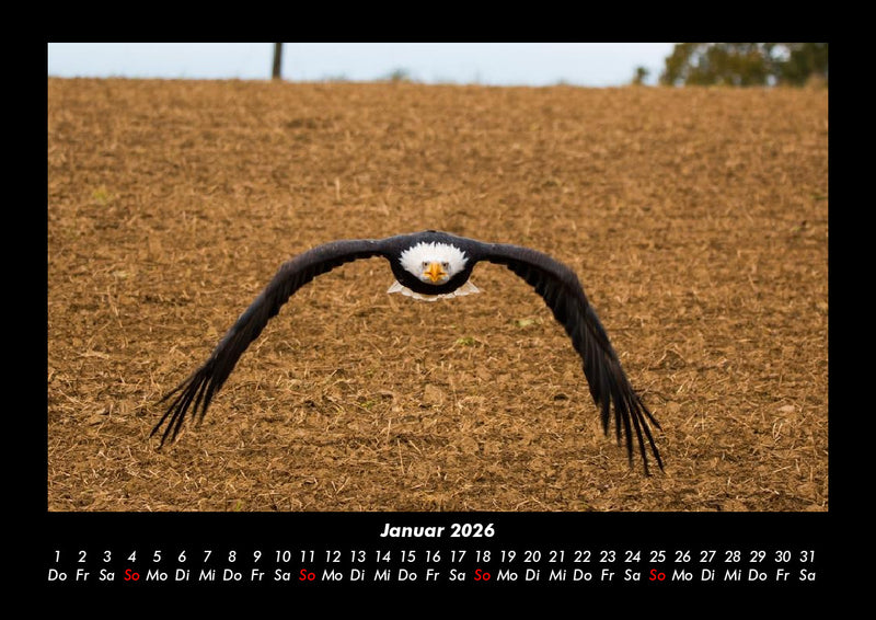 Adler Fotokalender 2026 - 1