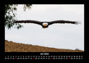Adler Fotokalender 2026 - 7