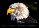 Adler Fotokalender 2026 - 8