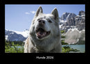 Hunde Fotokalender 2026 - Hauptbild