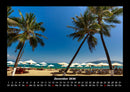Palmen Fotokalender 2026 - 12