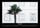 Palmen Fotokalender 2026 - 5