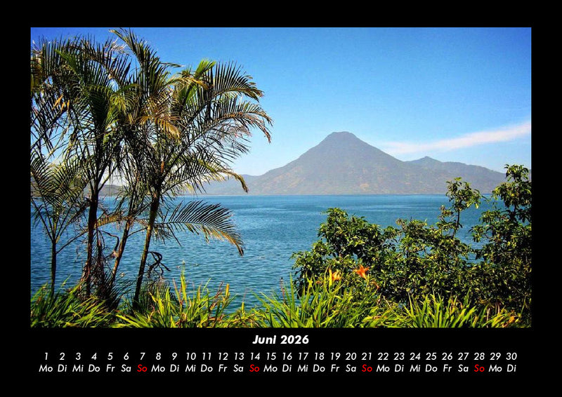 Palmen Fotokalender 2026 - 6