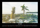 Palmen Fotokalender 2026 - 7