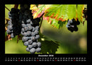 Früchte Fotokalender 2026 - 12