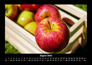 Früchte Fotokalender 2026 - 8