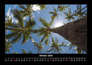 Palmen Fotokalender 2026 - 10