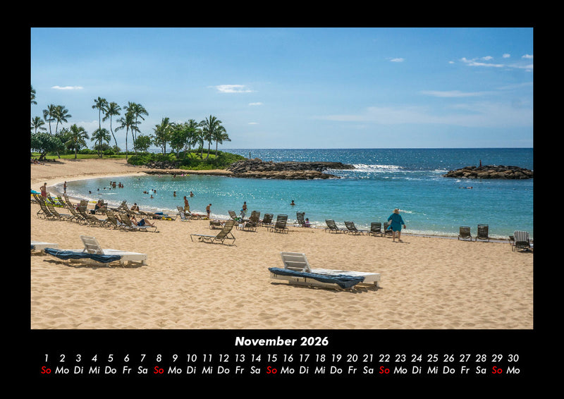 Palmen Fotokalender 2026 - 11