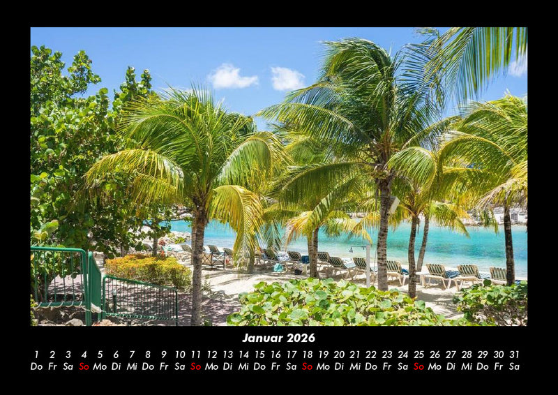 Palmen Fotokalender 2026 - 1