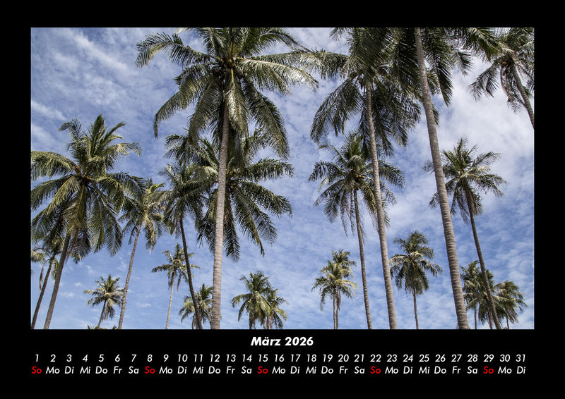 Palmen Fotokalender 2026 - 3