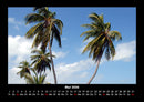 Palmen Fotokalender 2026 - 5