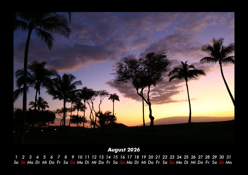 Palmen Fotokalender 2026 - 8